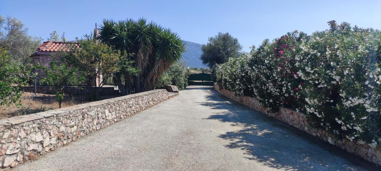 Ellie'S Stonehouse Gianapa, Porto Rafti, Greece, 190 03, Gr Villa Екстериор снимка